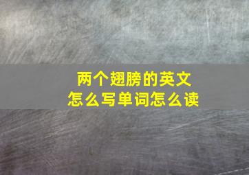 两个翅膀的英文怎么写单词怎么读