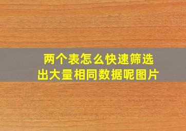 两个表怎么快速筛选出大量相同数据呢图片