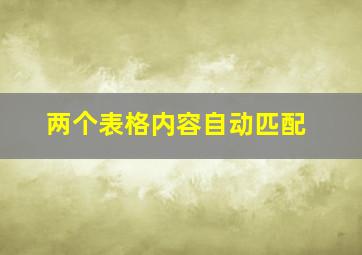 两个表格内容自动匹配