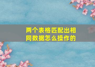 两个表格匹配出相同数据怎么操作的