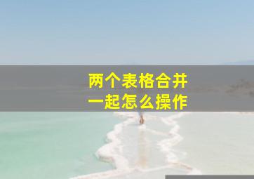 两个表格合并一起怎么操作