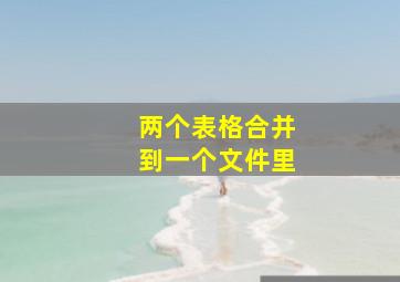 两个表格合并到一个文件里