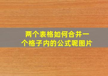 两个表格如何合并一个格子内的公式呢图片