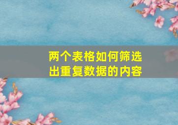 两个表格如何筛选出重复数据的内容