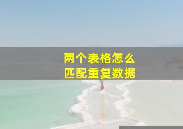 两个表格怎么匹配重复数据