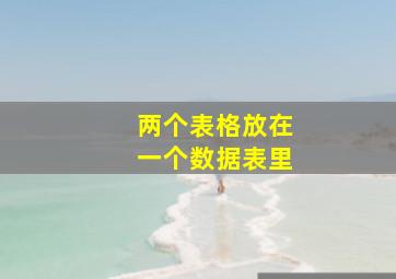 两个表格放在一个数据表里