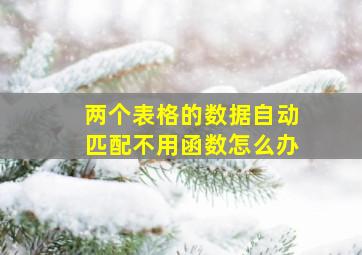 两个表格的数据自动匹配不用函数怎么办