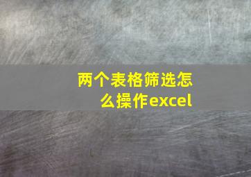 两个表格筛选怎么操作excel