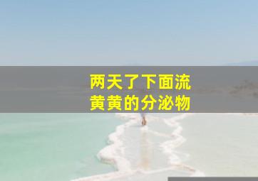 两天了下面流黄黄的分泌物