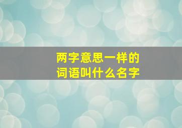 两字意思一样的词语叫什么名字