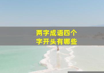 两字成语四个字开头有哪些