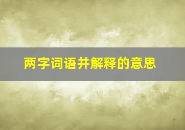 两字词语并解释的意思