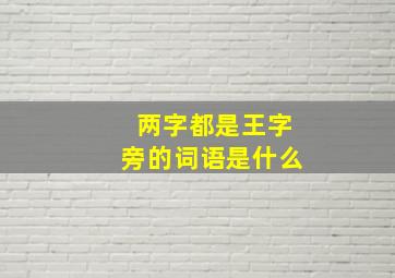 两字都是王字旁的词语是什么