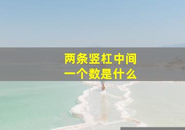 两条竖杠中间一个数是什么