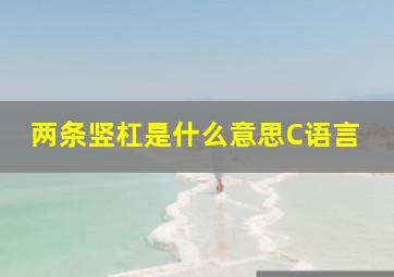 两条竖杠是什么意思C语言