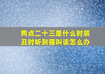 两点二十三是什么时辰丑时听到猫叫该怎么办