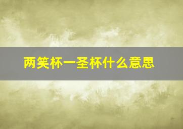 两笑杯一圣杯什么意思