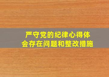 严守党的纪律心得体会存在问题和整改措施