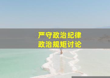 严守政治纪律政治规矩讨论