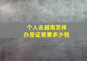 个人去越南怎样办签证呢要多少钱