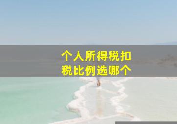 个人所得税扣税比例选哪个