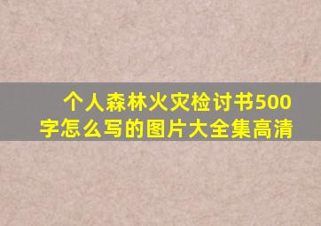 个人森林火灾检讨书500字怎么写的图片大全集高清