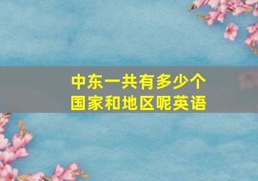 中东一共有多少个国家和地区呢英语