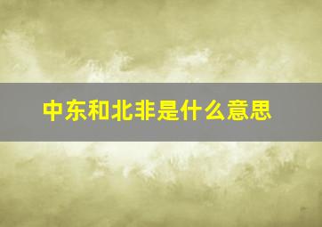 中东和北非是什么意思