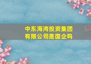 中东海湾投资集团有限公司是国企吗