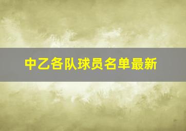 中乙各队球员名单最新