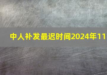 中人补发最迟时间2024年11