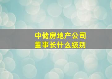 中储房地产公司董事长什么级别