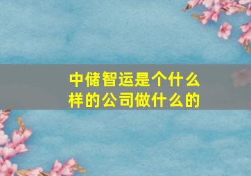 中储智运是个什么样的公司做什么的