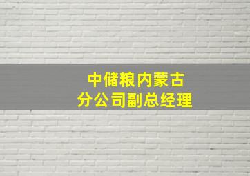 中储粮内蒙古分公司副总经理