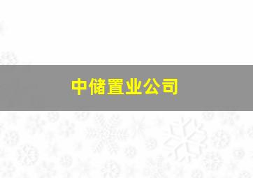 中储置业公司