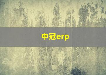 中冠erp