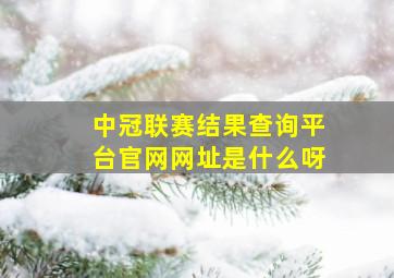 中冠联赛结果查询平台官网网址是什么呀