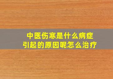 中医伤寒是什么病症引起的原因呢怎么治疗