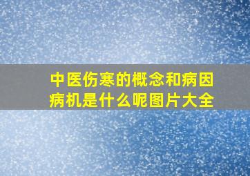 中医伤寒的概念和病因病机是什么呢图片大全