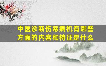 中医诊断伤寒病机有哪些方面的内容和特征是什么