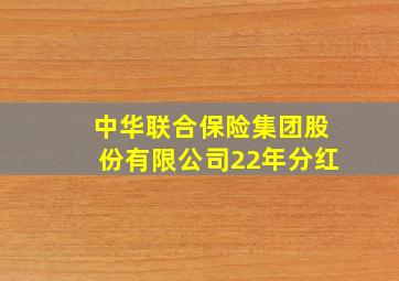 中华联合保险集团股份有限公司22年分红