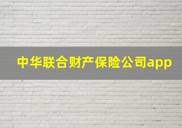 中华联合财产保险公司app