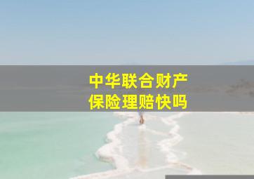 中华联合财产保险理赔快吗