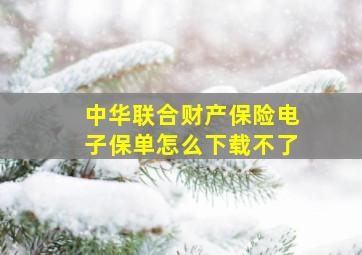 中华联合财产保险电子保单怎么下载不了