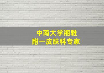 中南大学湘雅附一皮肤科专家