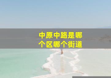 中原中路是哪个区哪个街道