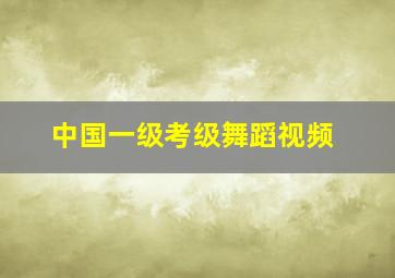 中国一级考级舞蹈视频