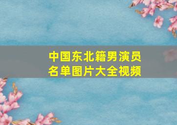 中国东北籍男演员名单图片大全视频