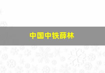 中国中铁薛林