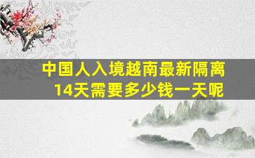 中国人入境越南最新隔离14天需要多少钱一天呢